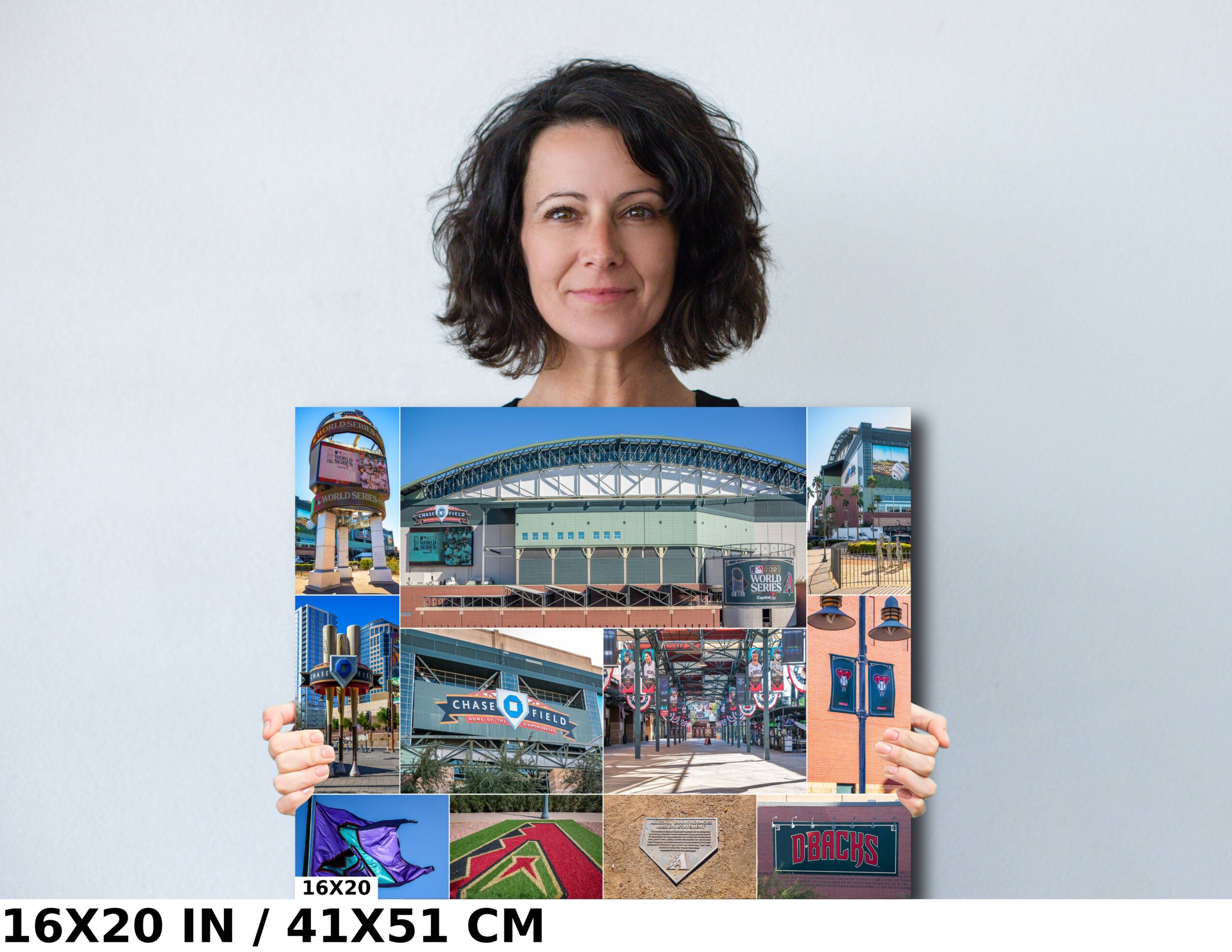 World Series Excitement: Chase Field (Collage) Diagram