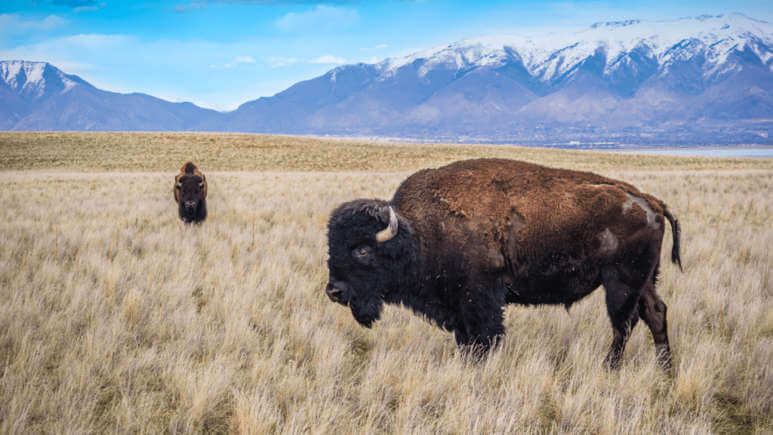 25 Incredible Places To Visit Near Salt Lake City