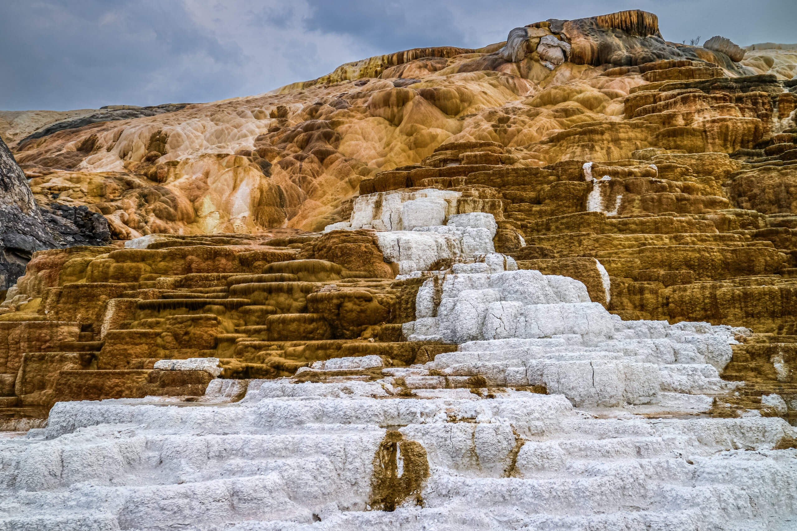 Steaming Splendor: Mammoth Hot Springs Steaming Splendor: Mammoth Hot Springs