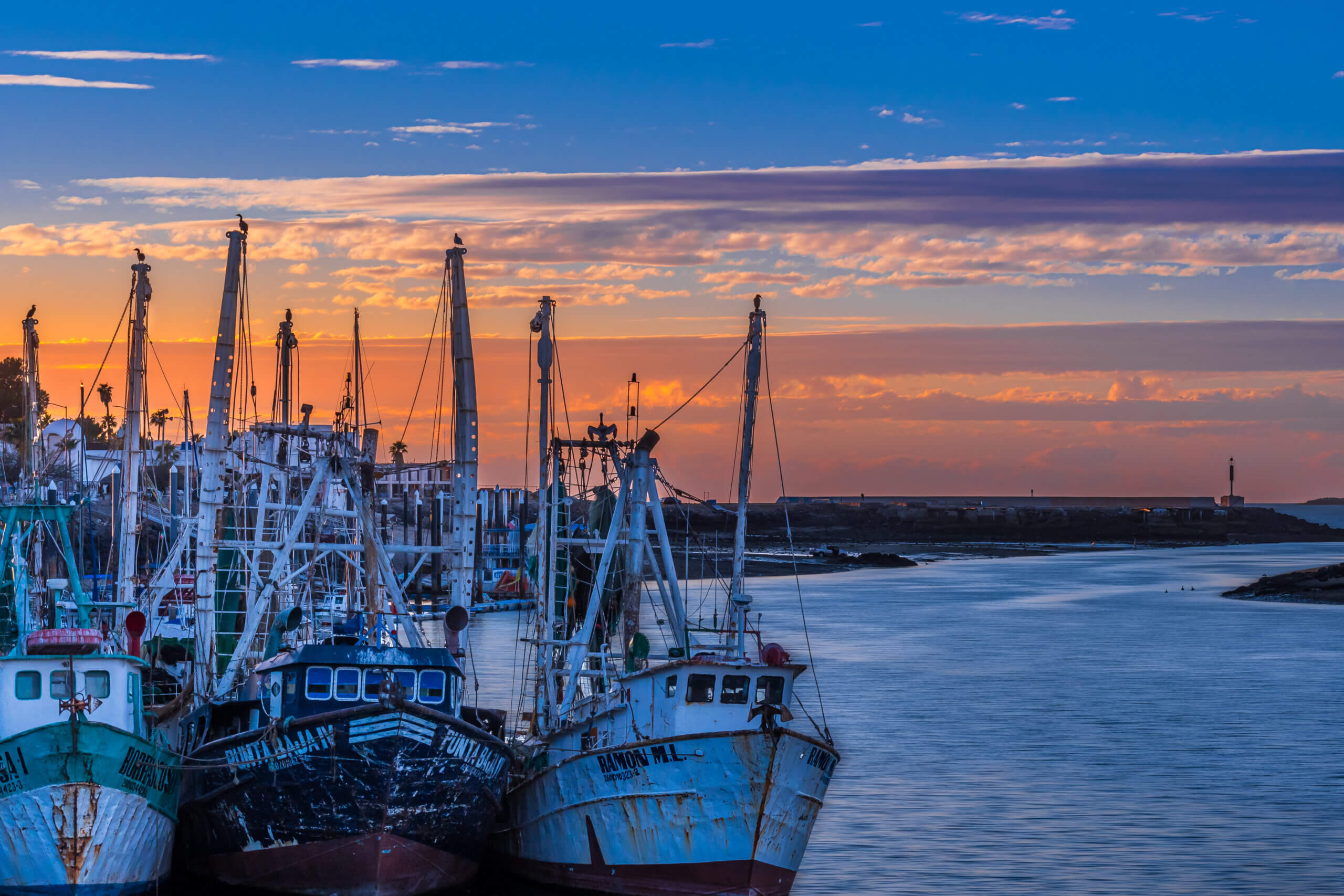 Nautical Narratives: Fishing Boats in Puerto Peñasco Nautical Narratives: Fishing Boats in Puerto Peñasco