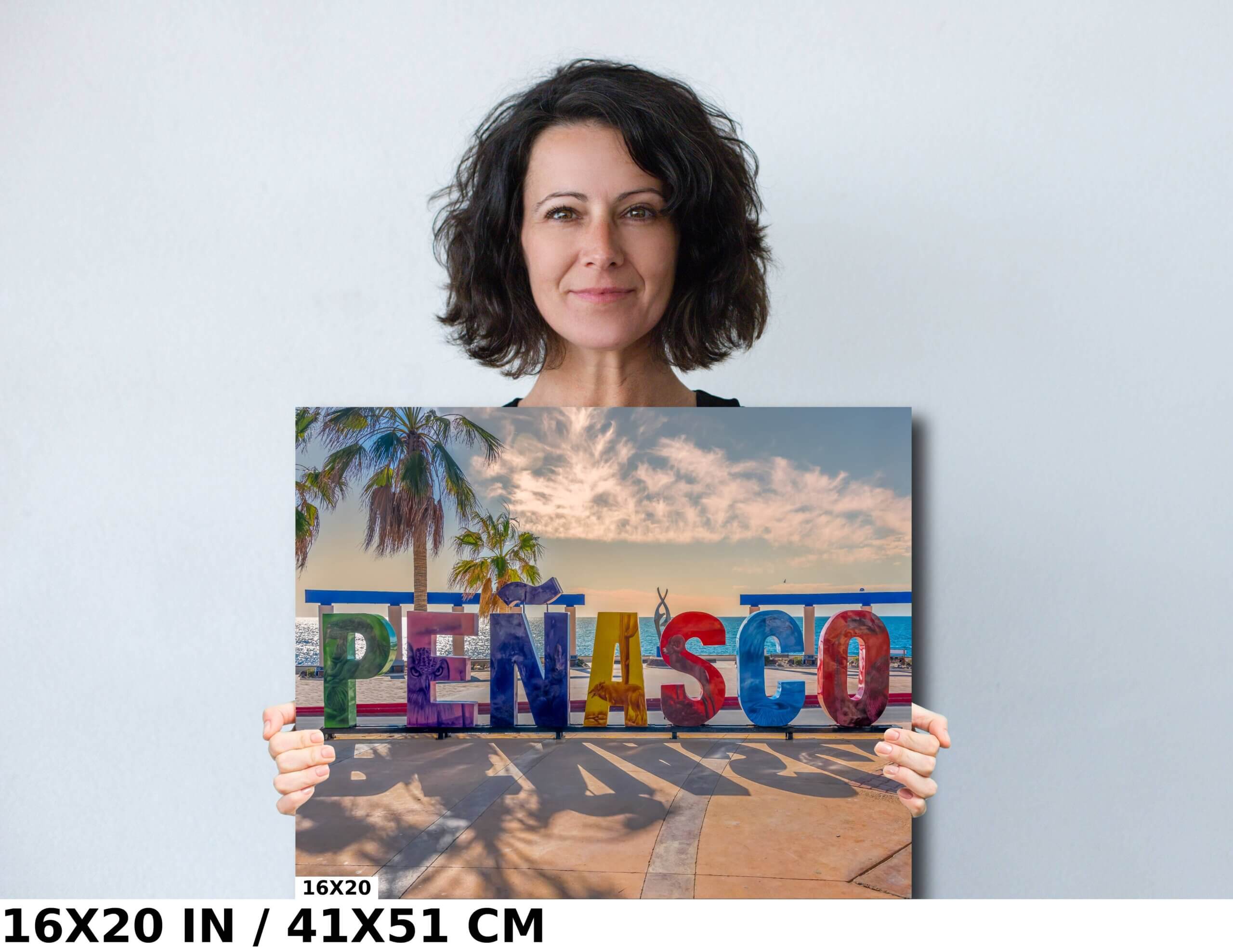 Oceanfront Oasis: Buildings by the Beach in Puerto Peñasco Diagram