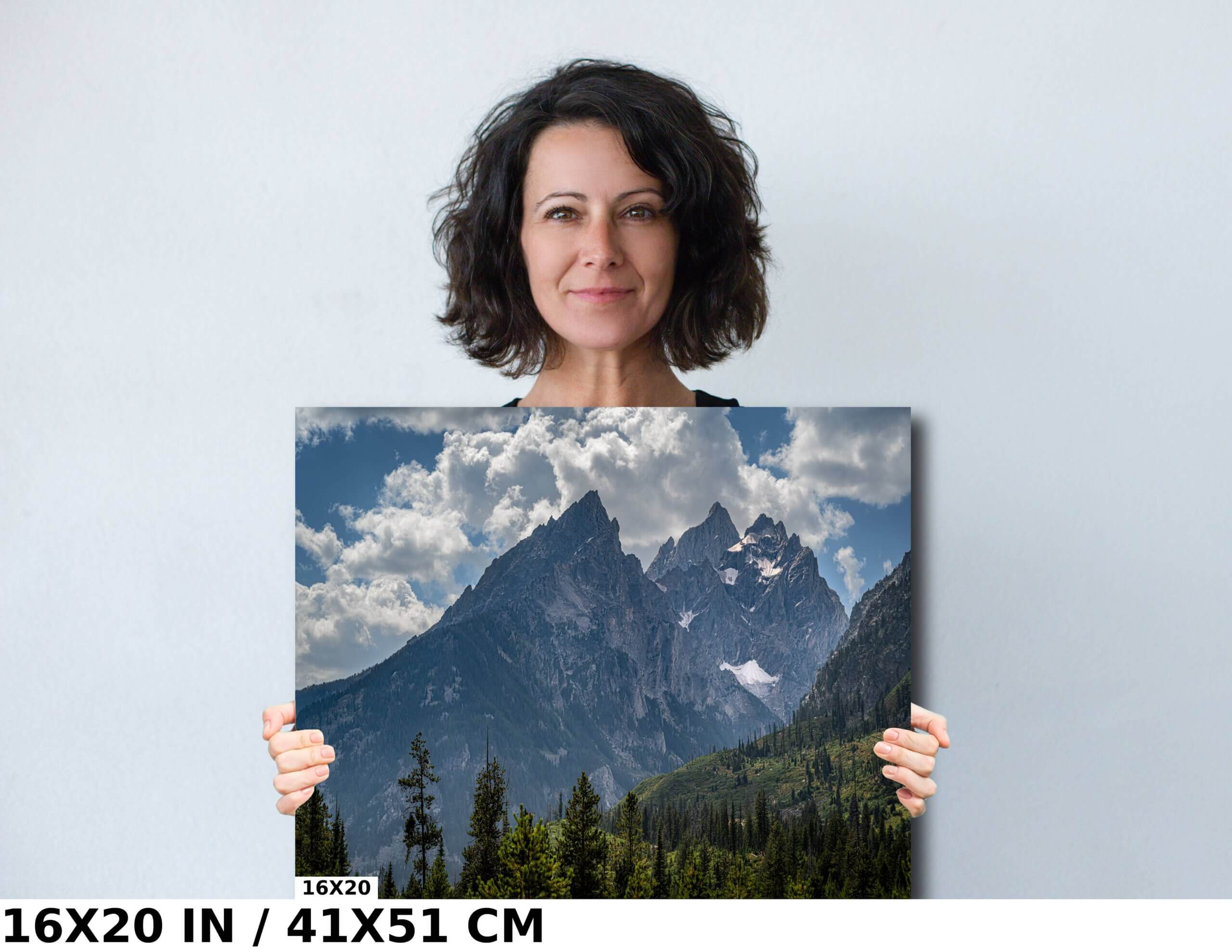 Teton Treasures: Grand Teton National Park Diagram