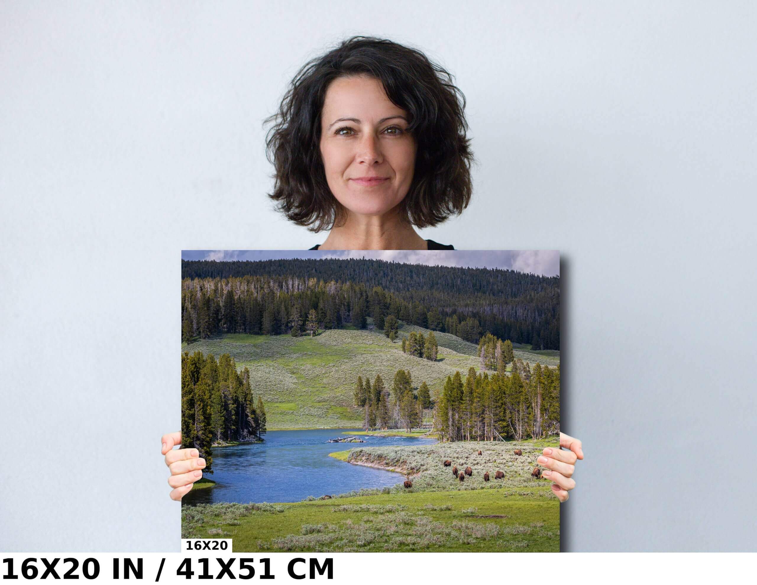 Valley of Wonders: Exploring Hayden Valley in Yellowstone Diagram