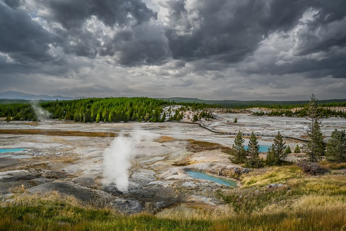 Norris Geyser Basin: Yellowstone National Park