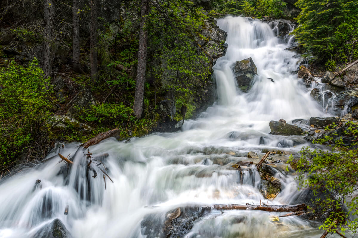 Lost in Wonder: Exploring the Majesty of Lost Creek Falls