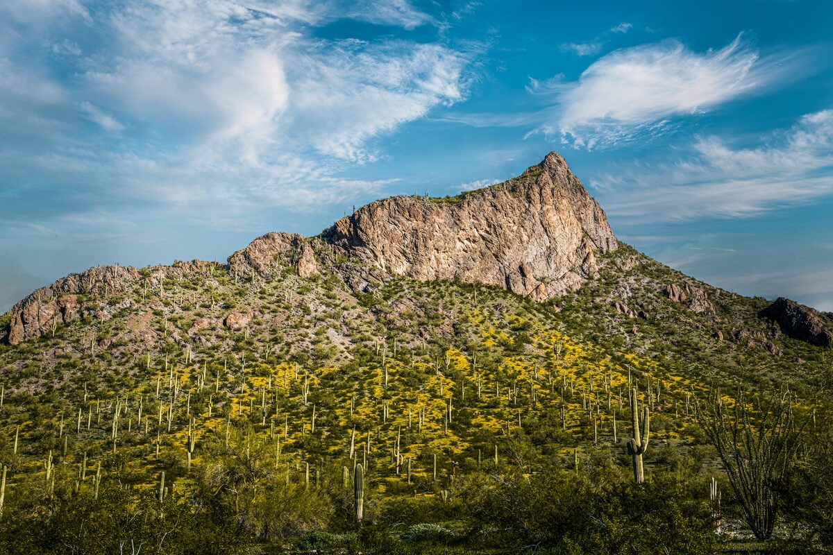 Elevated Elegance: Picacho Peak State Park