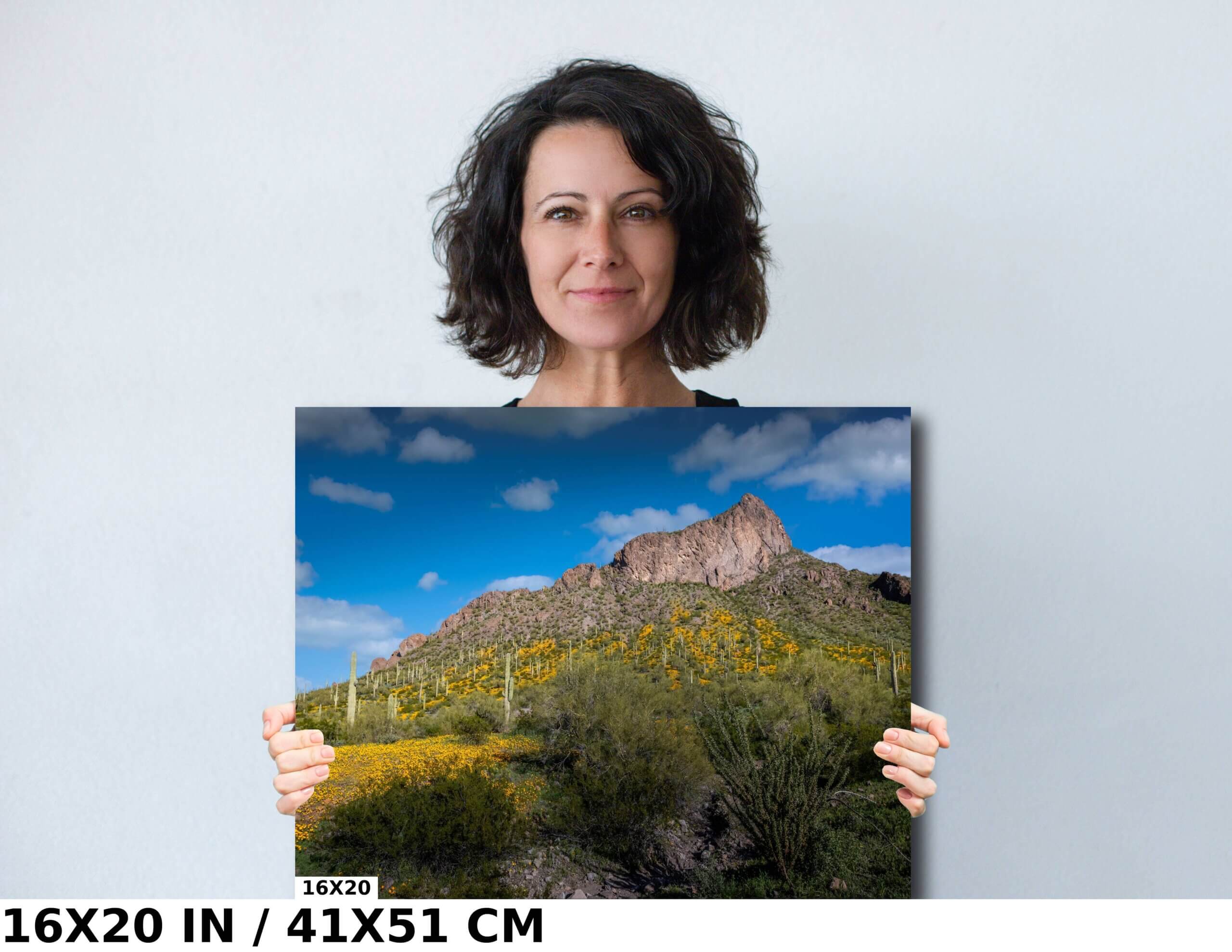 Breathtaking Scenes: Picacho Peak State Park Diagram