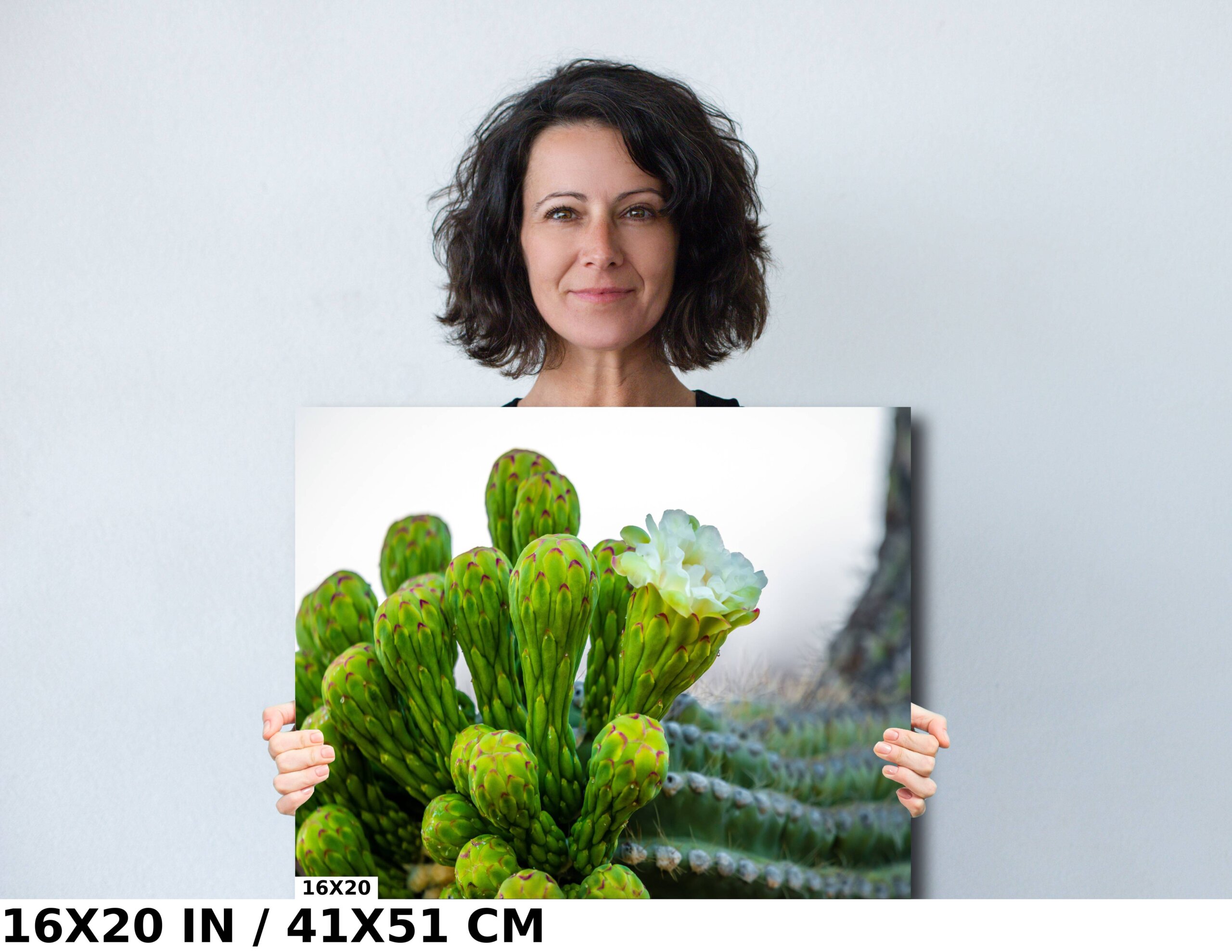 Desert Jewels: Saguaro Cactus Flower Blooms Diagram