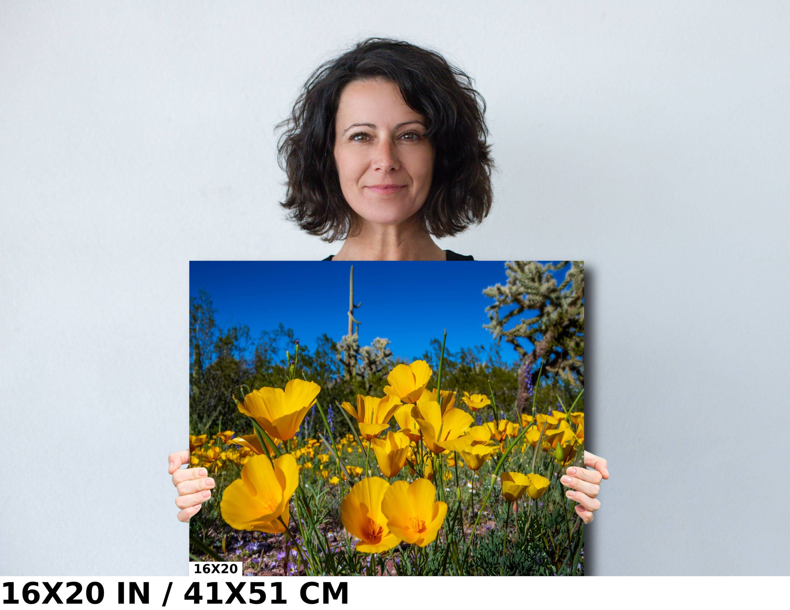 Golden Glory: Mexican Gold Poppies Diagram