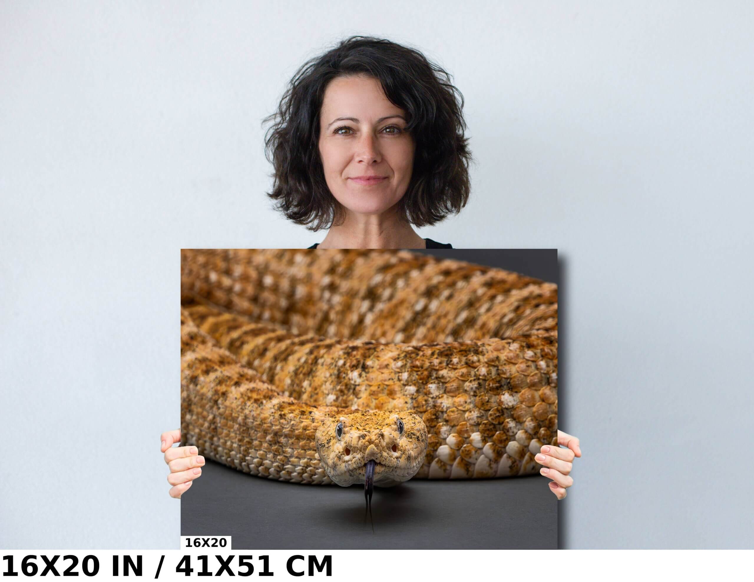 I’m Watching You: The Piercing Eyes of a Rattlesnake Diagram I’m Watching You: The Piercing Eyes of a Rattlesnake Diagram