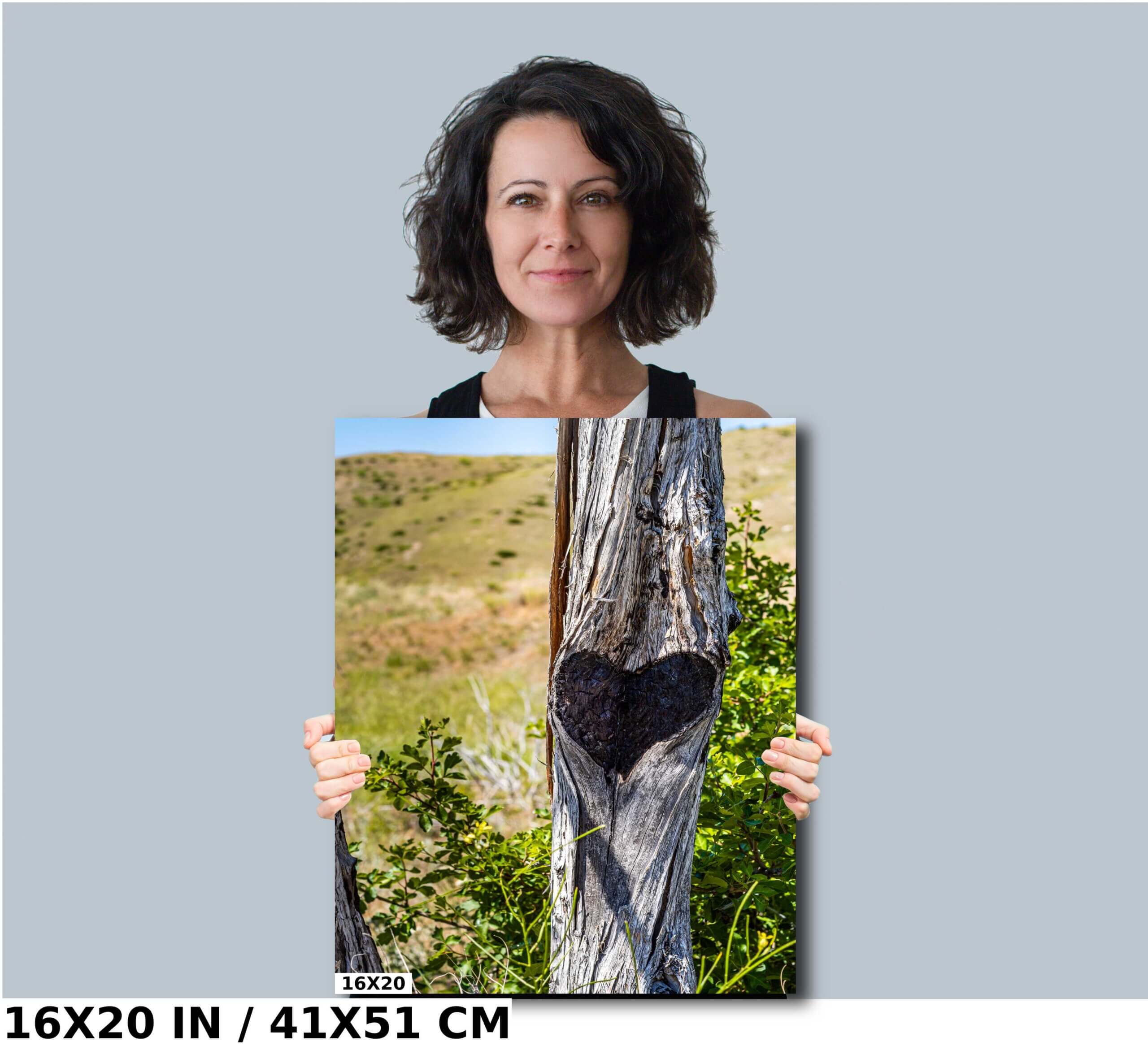 Nature’s Valentine: Heart in the Bark at Madison Buffalo Jump Diagram