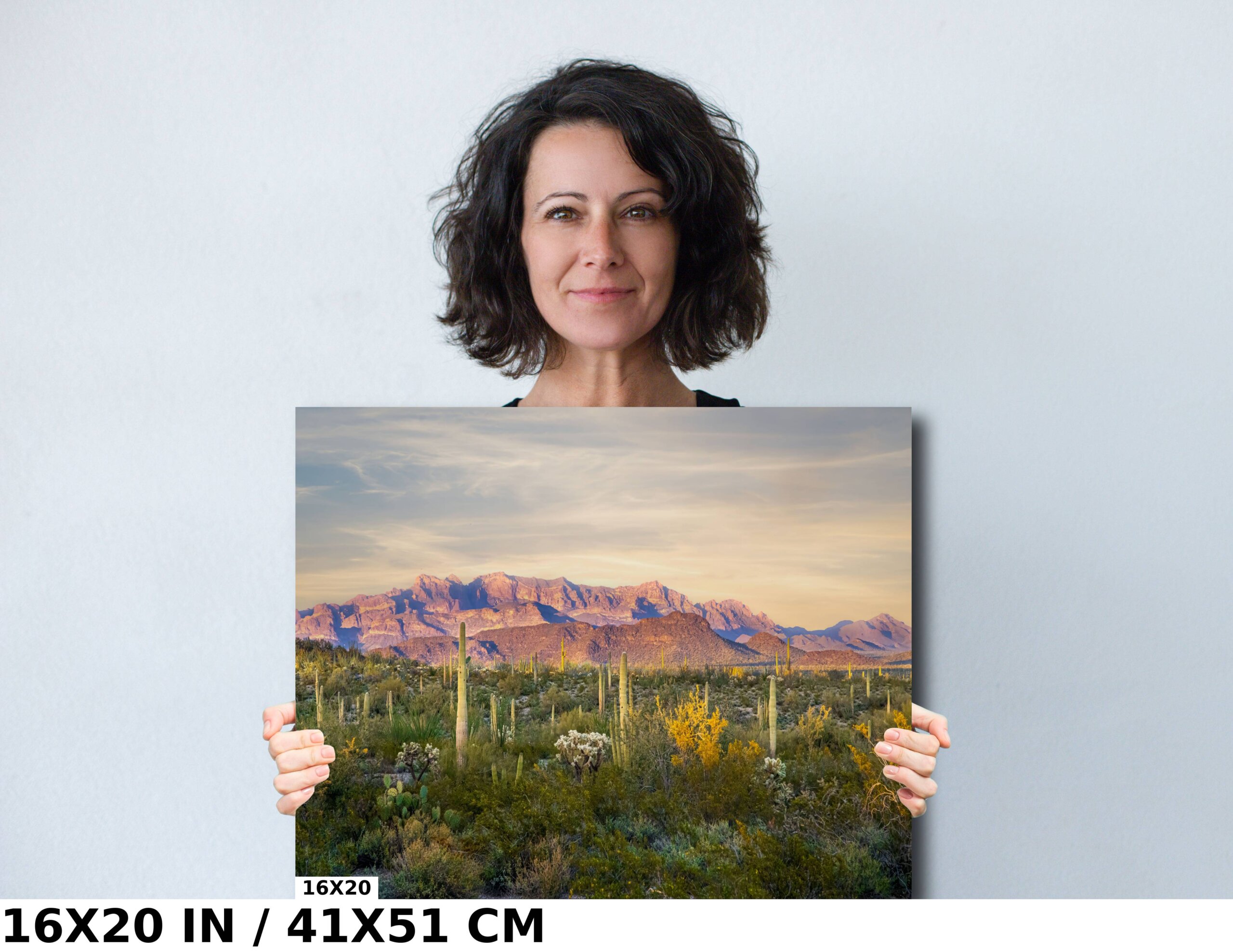 Peak and Prickly: Ajo Mountain and Cacti in Organ Pipe Diagram Peak and Prickly: Ajo Mountain and Cacti in Organ Pipe Diagram
