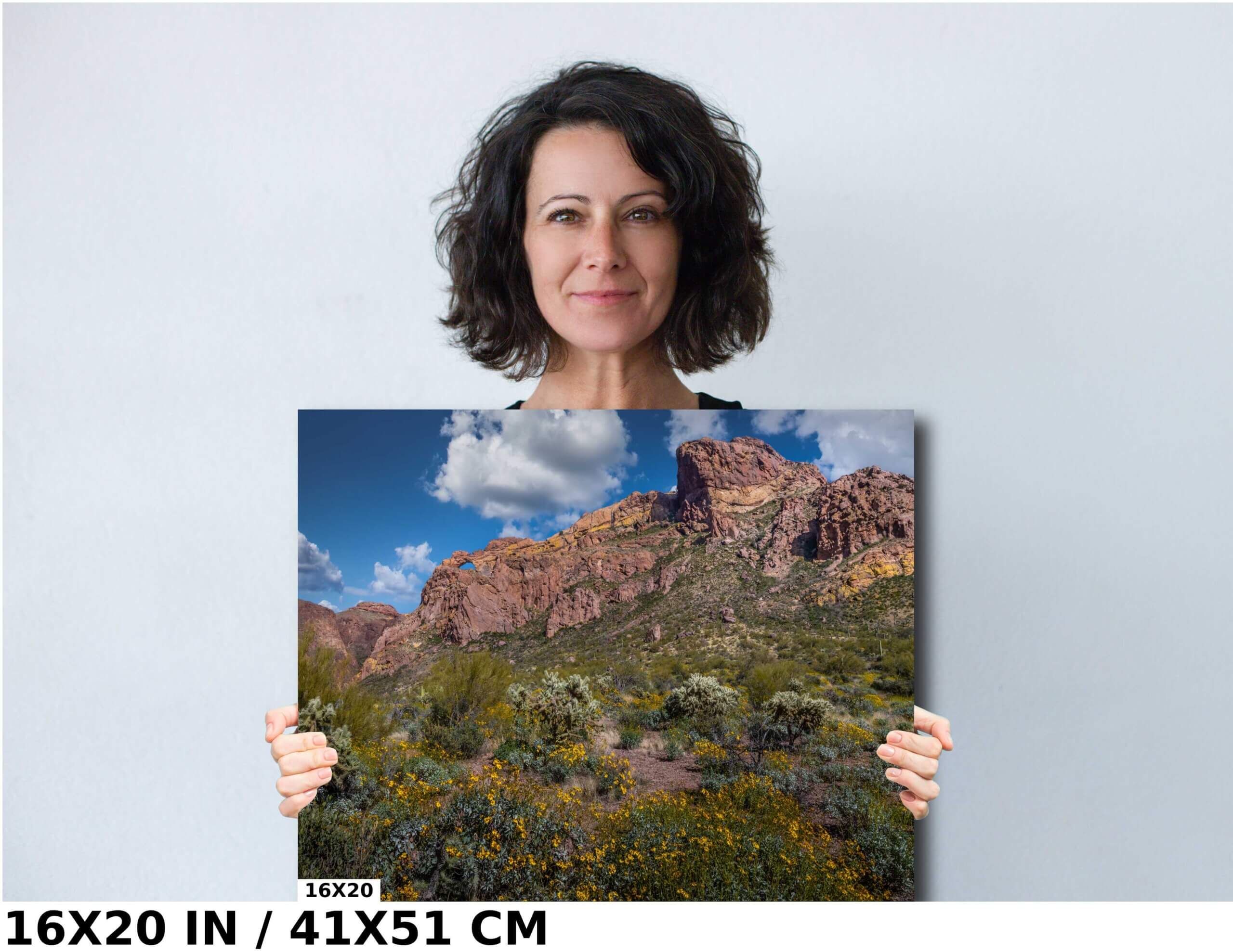 Rocky Solitude: Organ Pipe Cactus National Monument Diagram