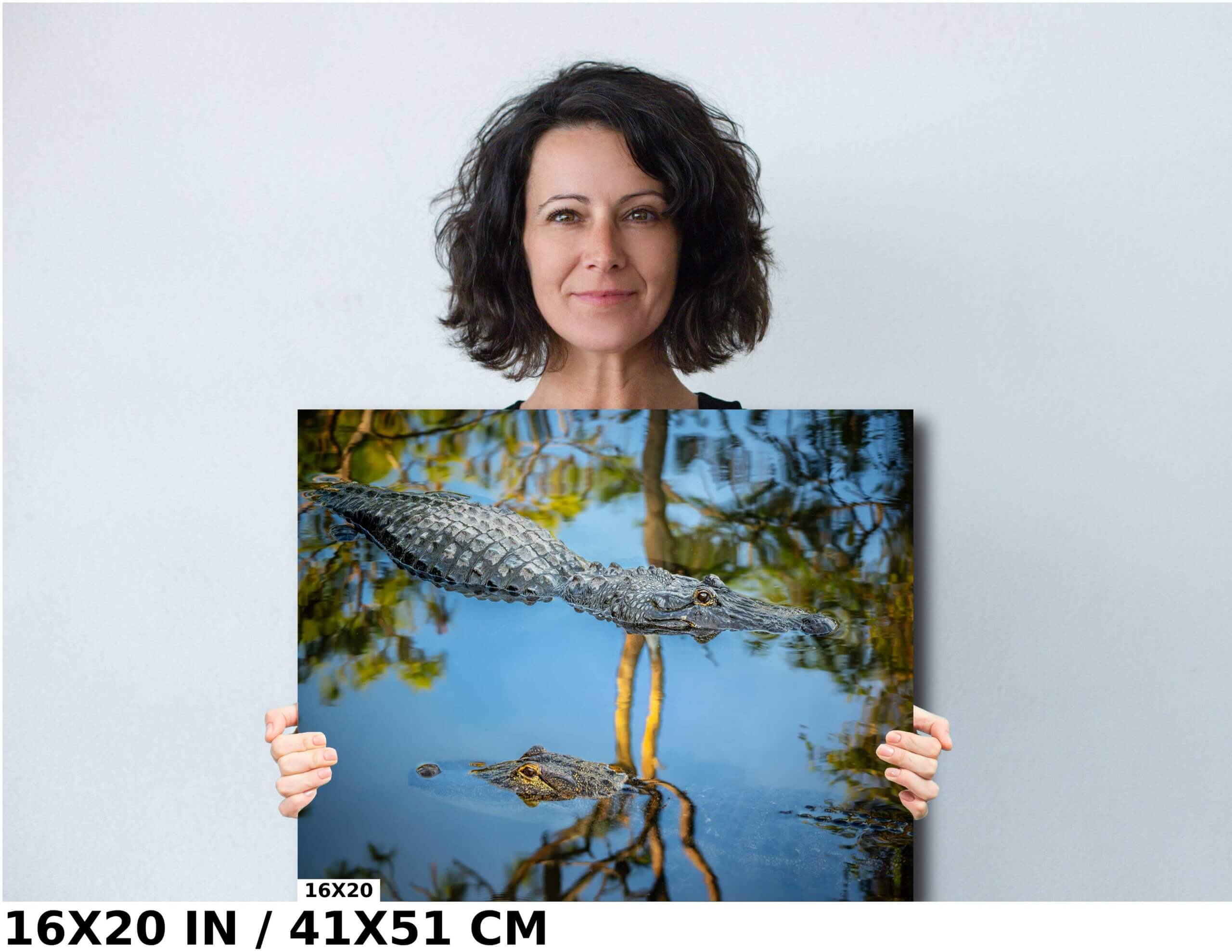 The Eyes Have It: Alligator’s Alert Gaze in Serene Waters Diagram