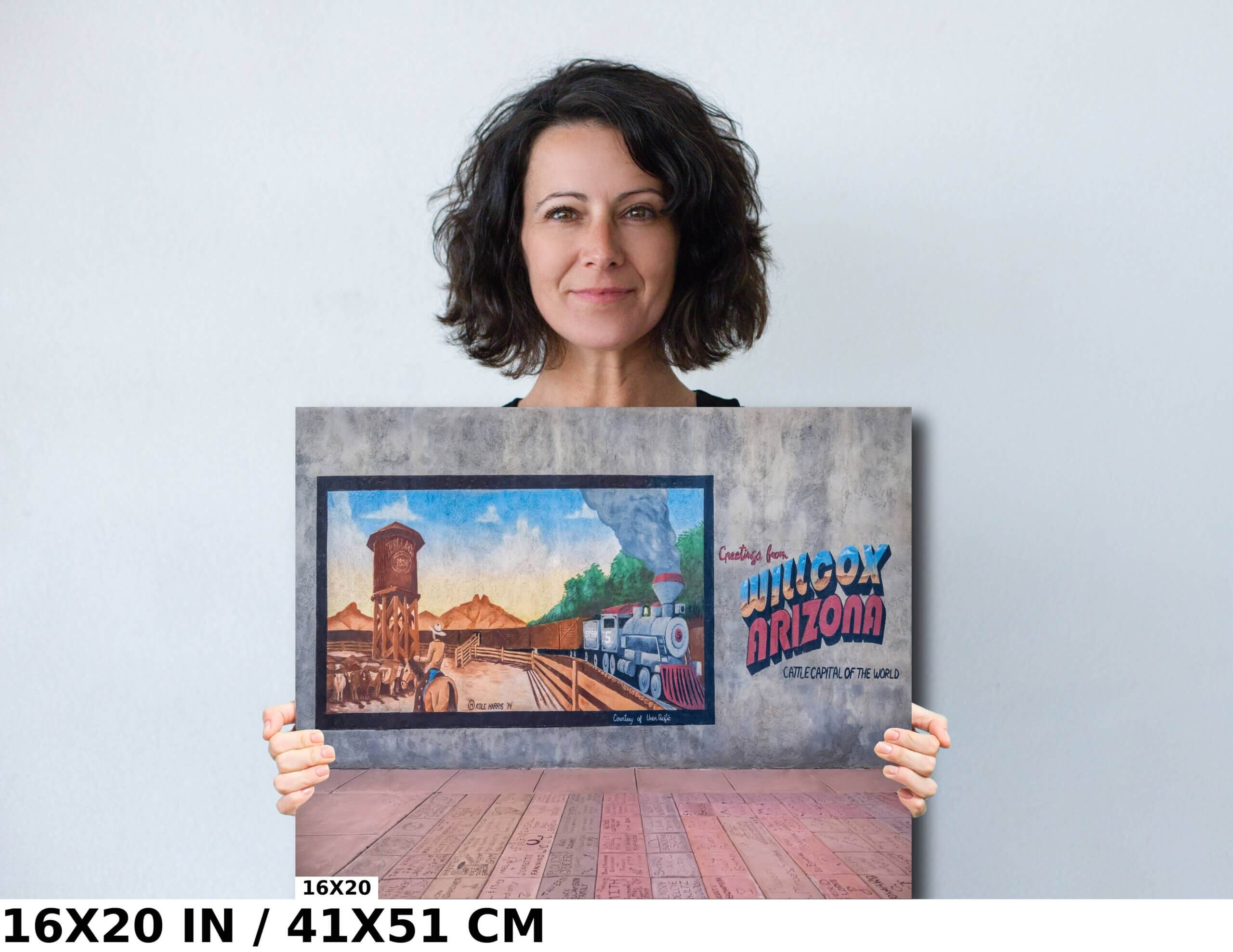 Willcox Welcome Wall: Arizona Cattle Capital Diagram