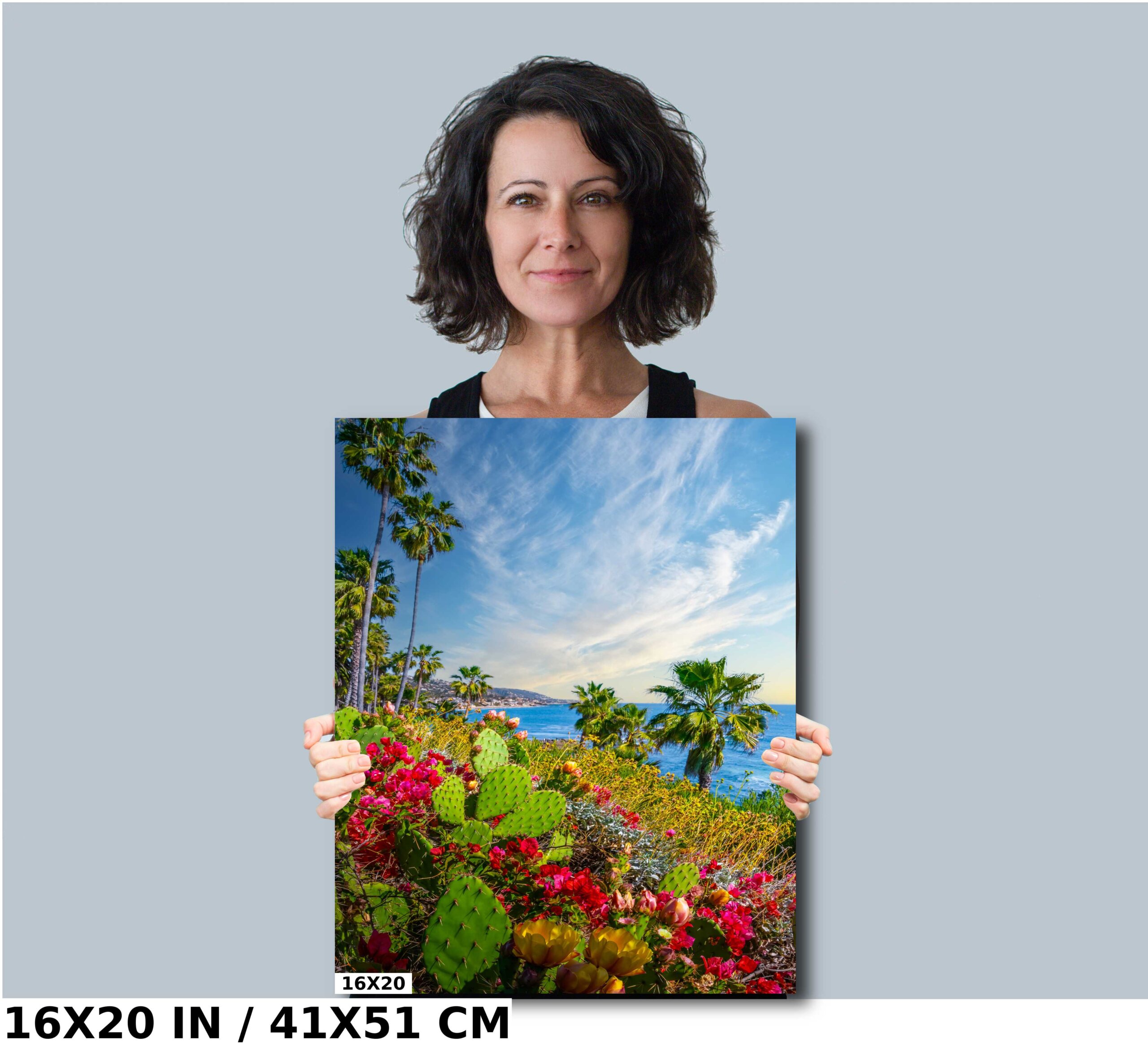 Seascape Succulents: Barbary Fig Cactus Enhancing the Laguna Beach Diagram