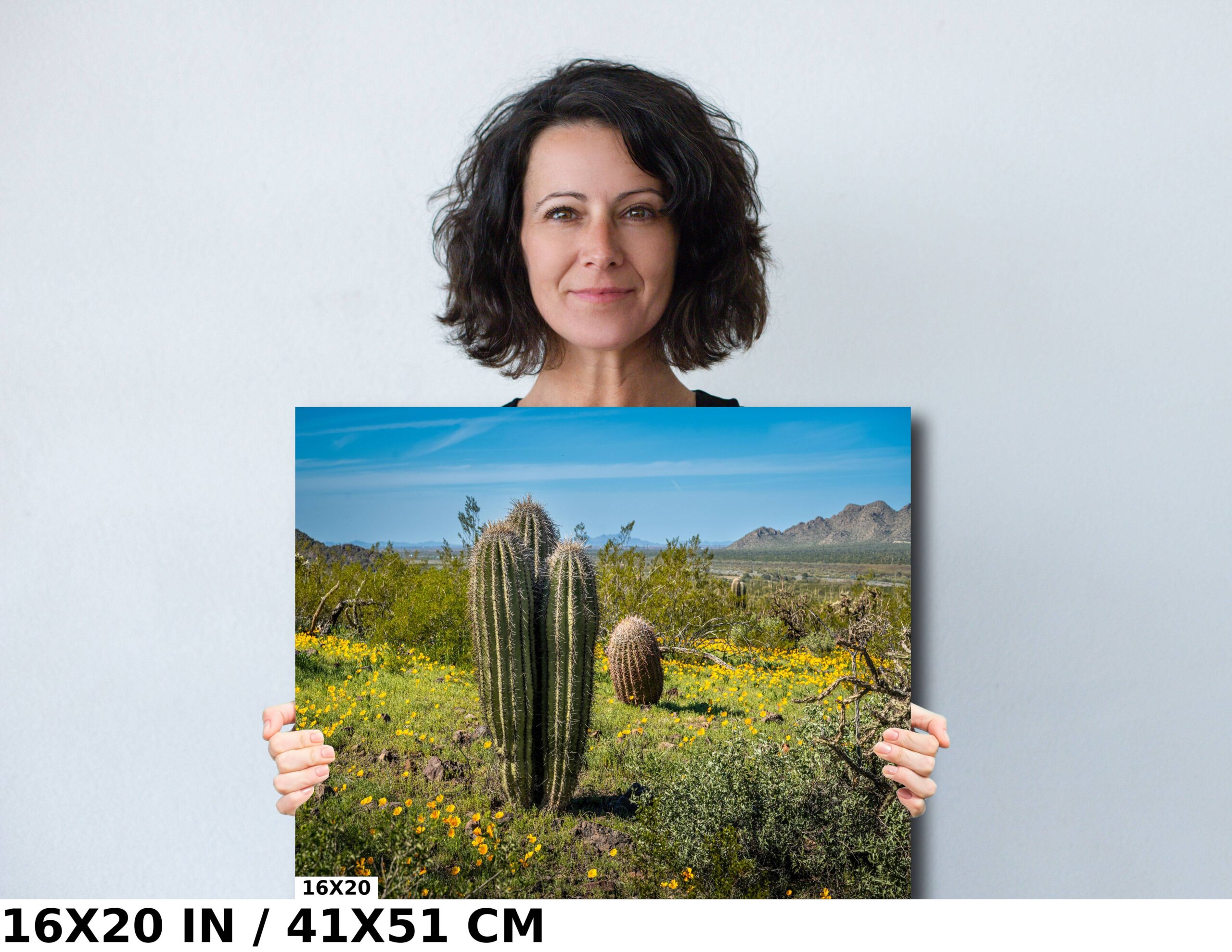 Triple Crown: Saguaro Cactus Heads in Perfect Harmony Diagram