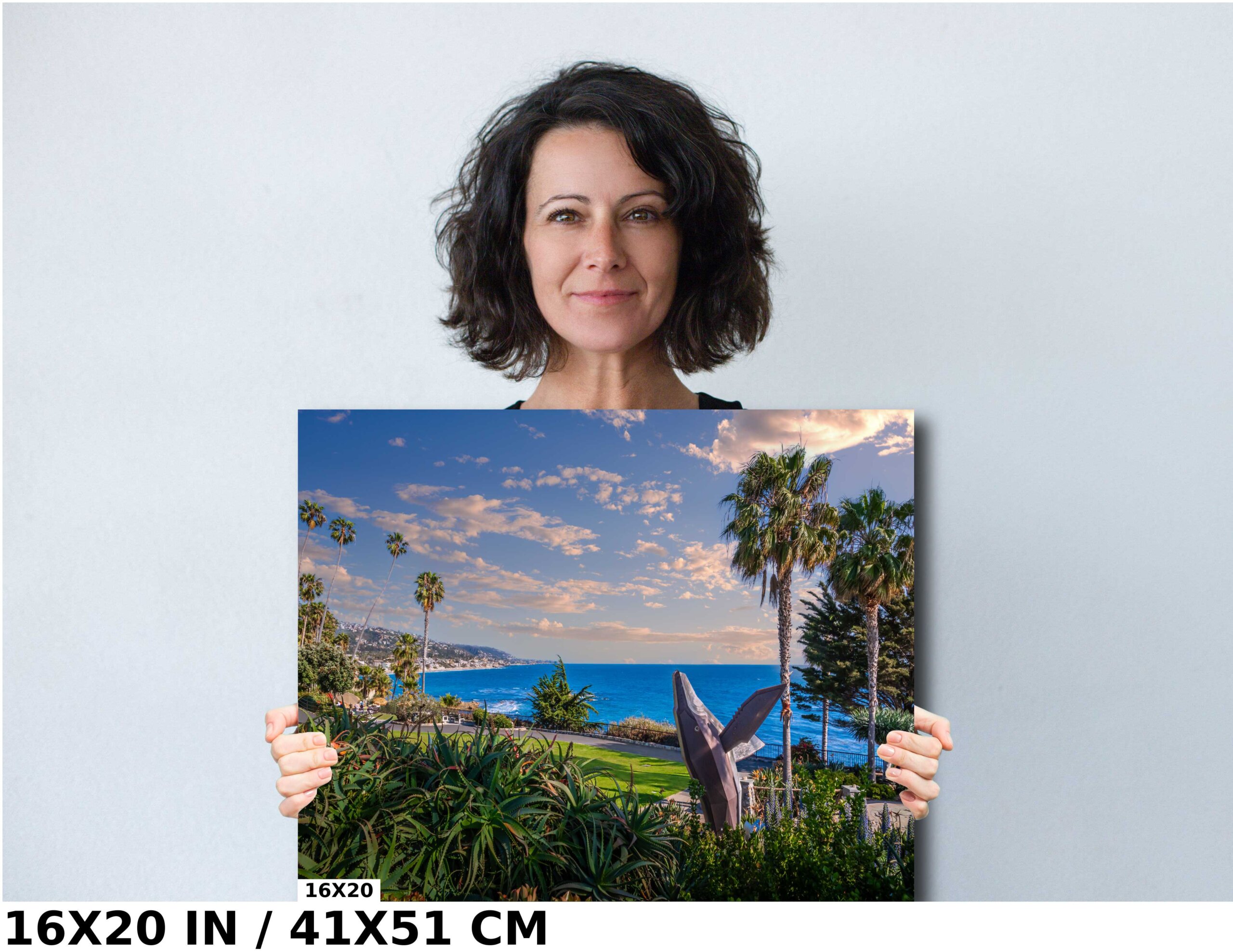 Whale’s Leap: The Breaching Whale Statue at Heisler Park, Laguna Beach Diagram