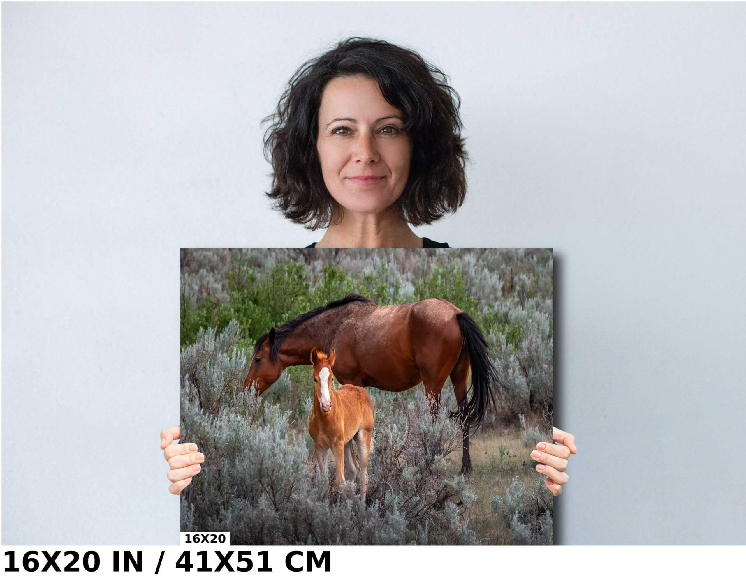 Generations in the Wild: Young and Adult Horses of Theodore Diagram