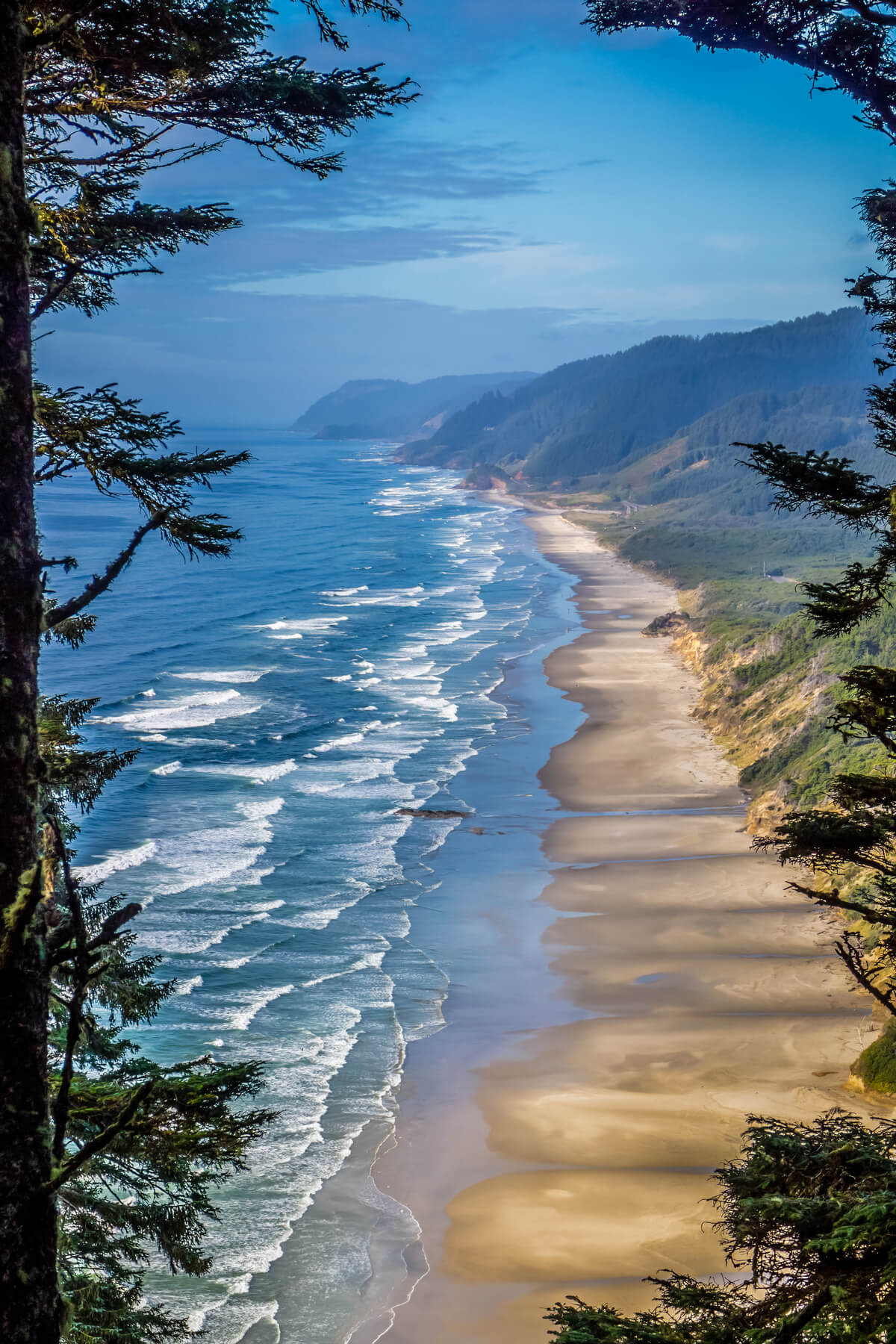 Oregon Shoreline Serenity: Overlook of Hobbit Beach from Forest Canopy