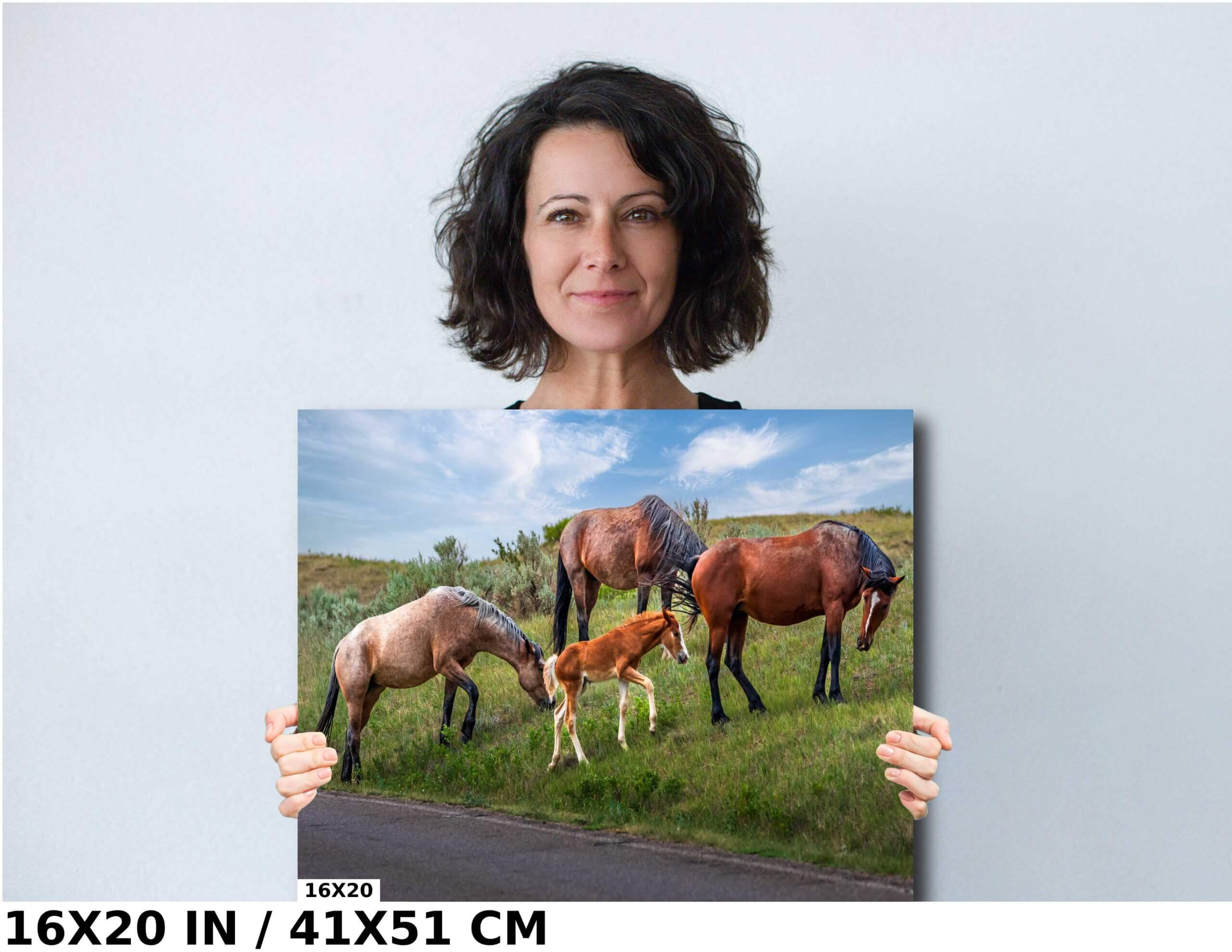 Prairie Generations: Horse Family Grazing in Theodore Roosevelt Park Diagram