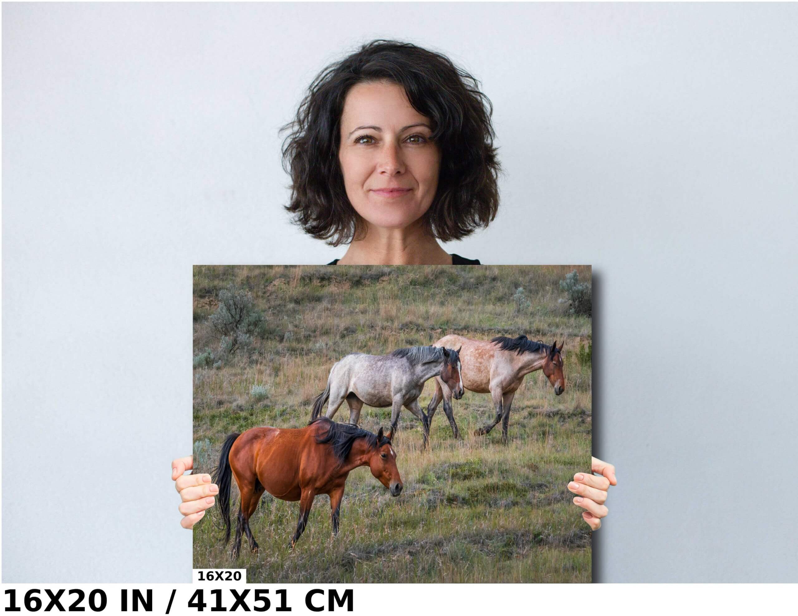 Prairie Trio: Horses in Perfect Step at Theodore Roosevelt Park Diagram Prairie Trio: Horses in Perfect Step at Theodore Roosevelt Park Diagram