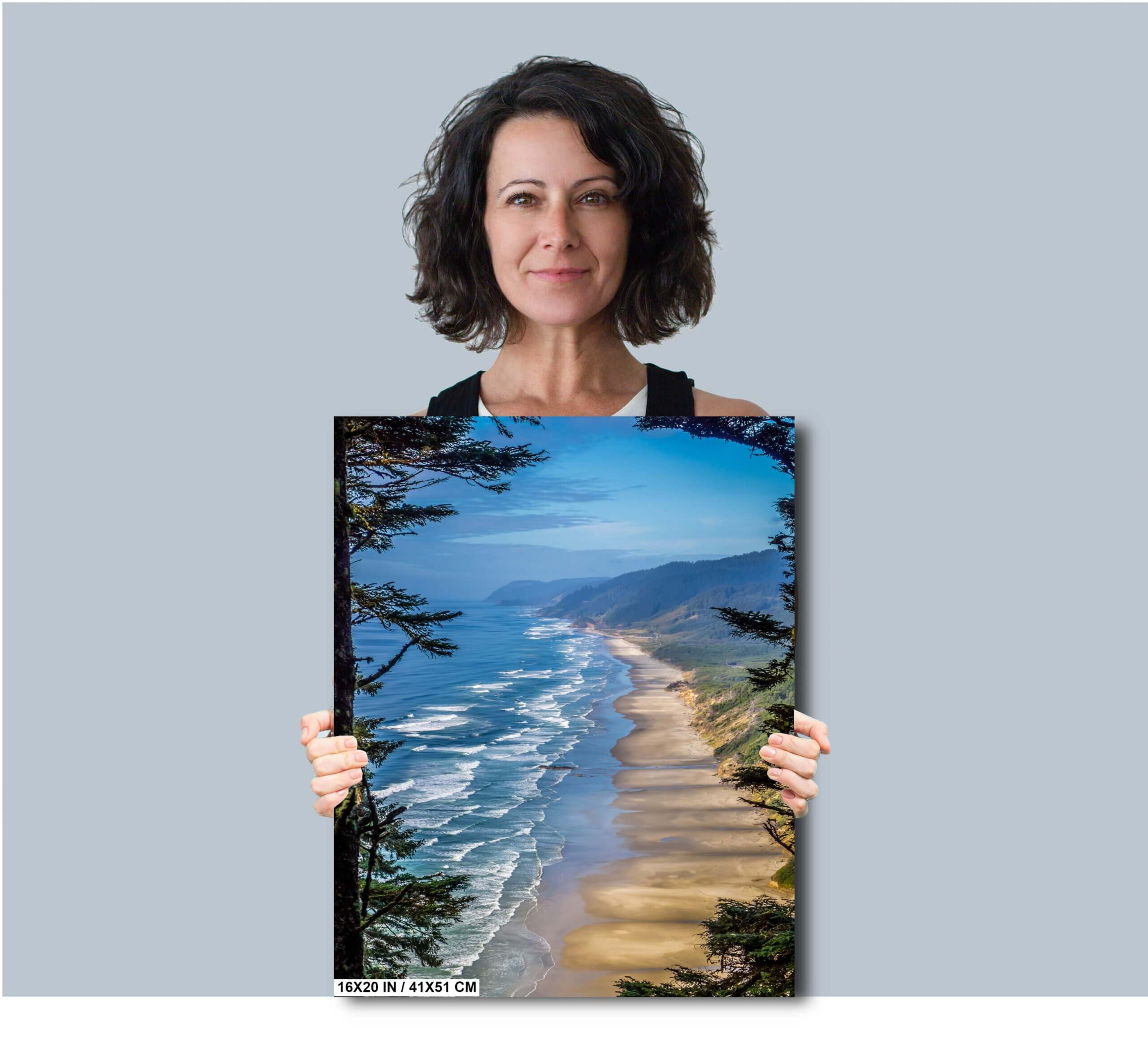 Oregon Shoreline Serenity: Overlook of Hobbit Beach from Forest Canopy Diagram