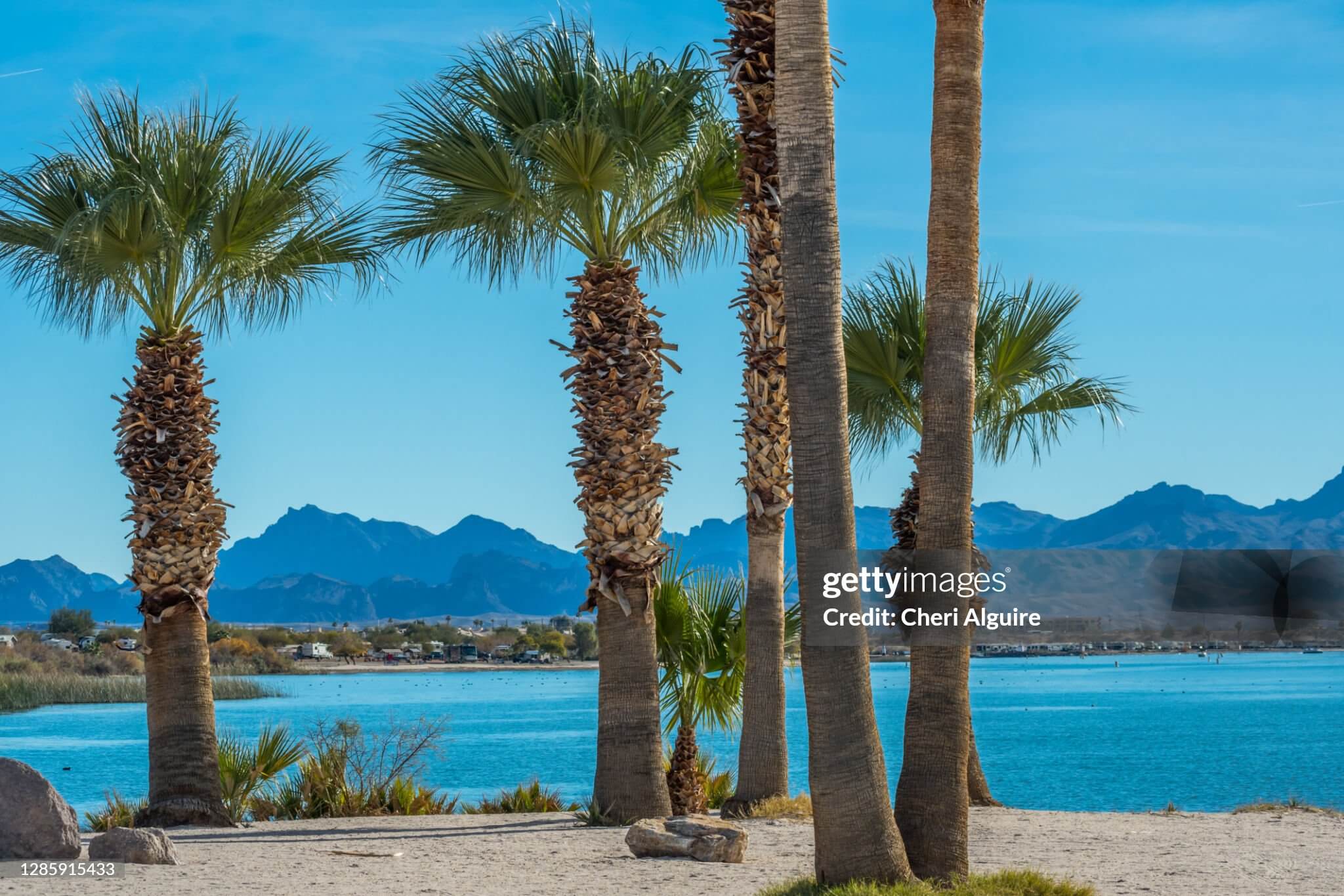 Giant Trolls: My Journey to see Thomas Dambo’s Work