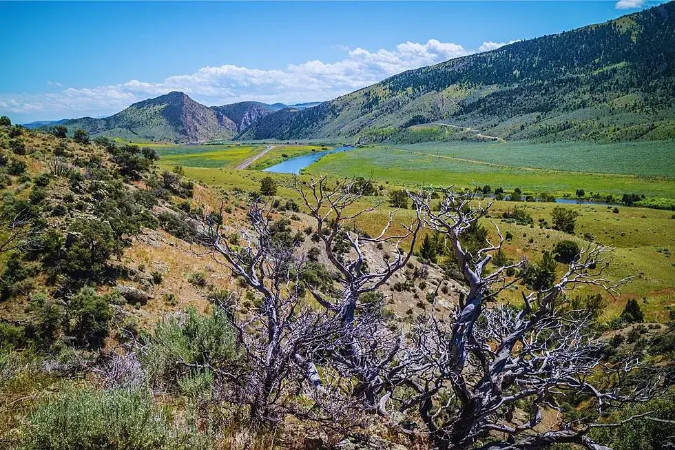 Freezeout Lake Migration: What You Need to Know