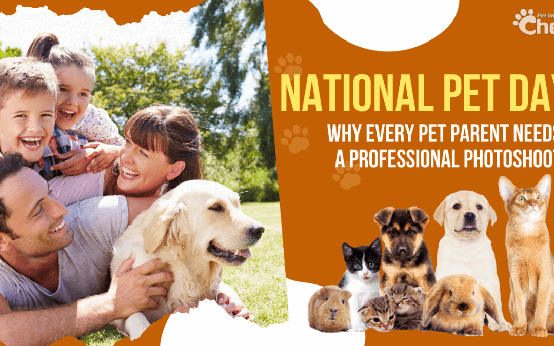 National Pet Day (April 11): Why Every Pet Parent Needs a Professional Photoshoot