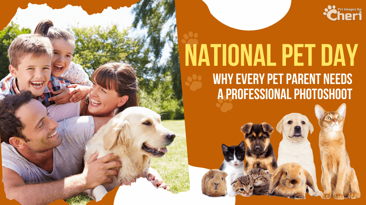 National Pet Day