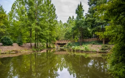 The Towns In South Carolina Where Retirees Are Actually Moving To