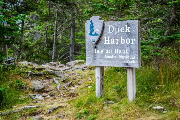 You Might Be a Mainer If You’ve Done These Things in Summer