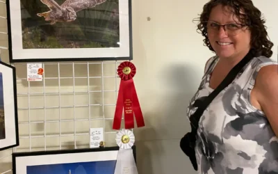 My First Pima County Fair: Ribbons, Sales, and a Whole Lot of Gratitude