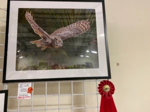 Silent Glide by Cheri Alguire