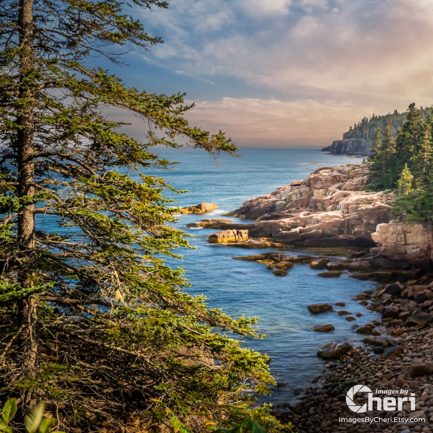 503143727_18499115530045202_1702979078153767685_n