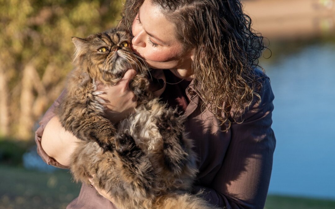 Happy National Hug Your Cat Day! There’s nothing quite like the comfort of a flu…