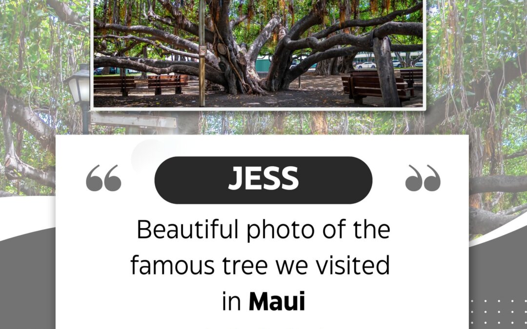 Thank you, Jess, for the glowing 5-star review! I’m so grateful for kind-hearted…