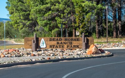 My latest feature in World Atlas spotlights Cottonwood, Arizona—one of the most …