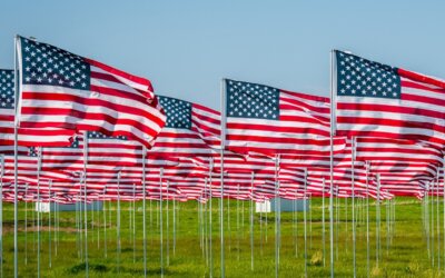 Happy Independence Day! Rows of flags waving in unity remind us of the strength,…