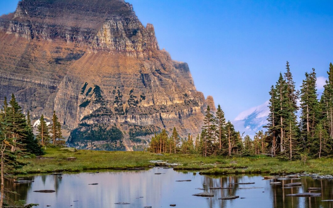 With the worldwide climate change that is happening, it is wonderful there are s…