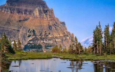 With the worldwide climate change that is happening, it is wonderful there are s…