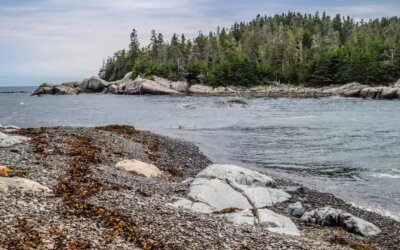 My latest feature image was published by NewsRadio 560 KPQ alongside an importan…