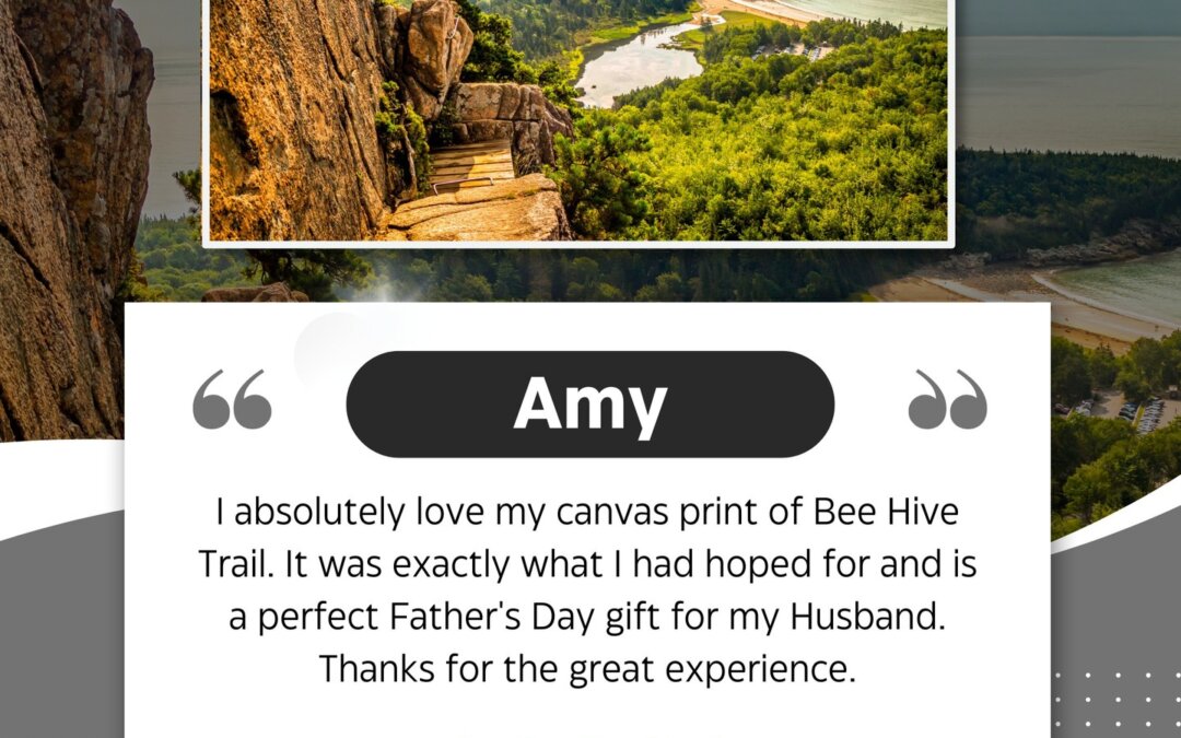Thank you, Amy! We’re so happy the Bee Hive Trail canvas was exactly what you ho…