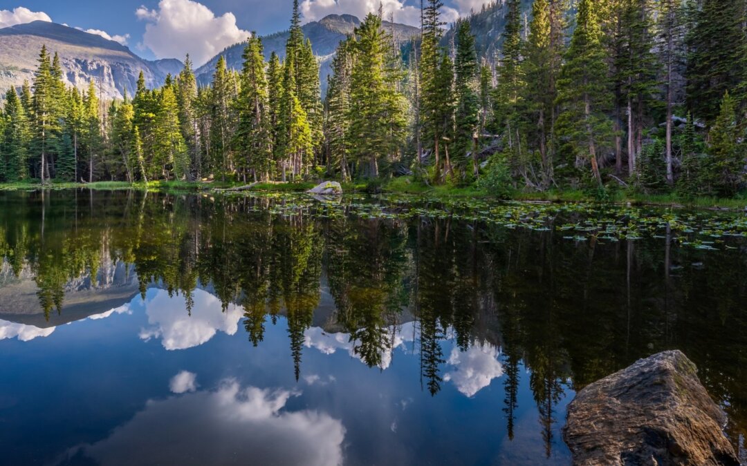 Happy Colorado Day! Here’s to the wild beauty that defines the Centennial State….