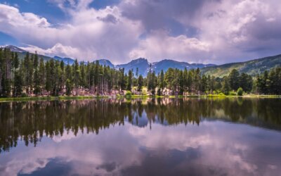 Happy National Relaxation Day! Take a breath, slow down, and let nature do the r…