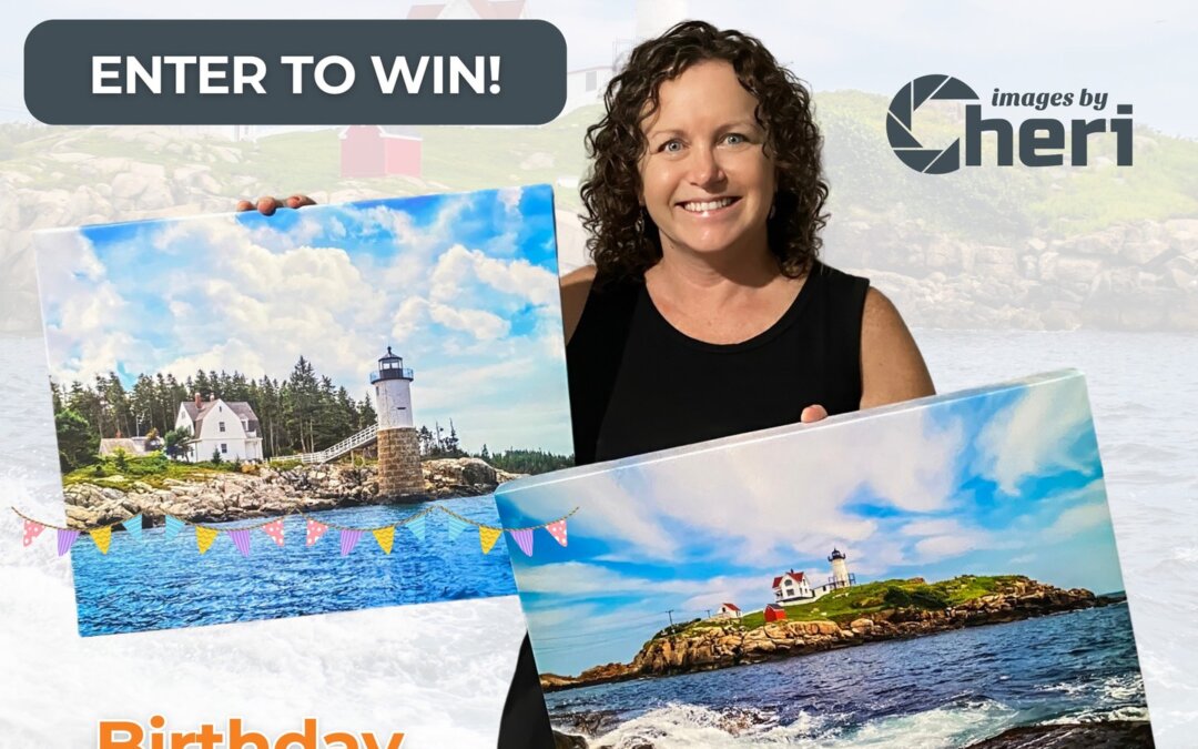 It’s my birthday, and I’m celebrating by giving YOU the gift! I’m giving away a …