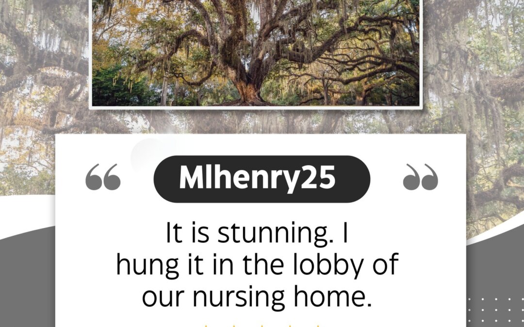 Thank you, Mlhentry25, for the kind words! We’re honored our art now welcomes gu…