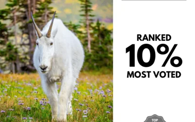 Viewbug.com: Top 10% Most Voted in ‘Animals In The Wild Photo’ Contest