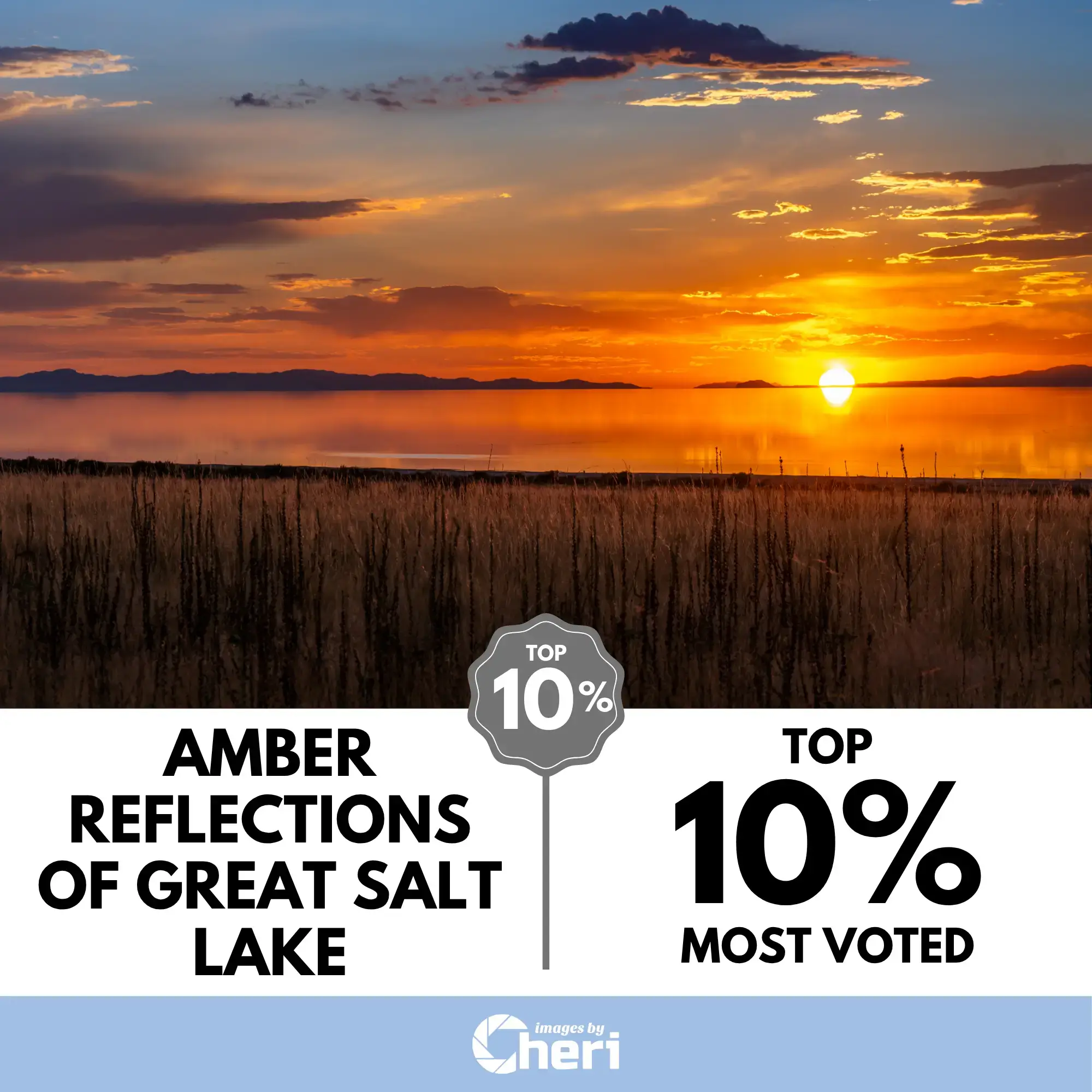 A sunset photograph of the Great Salt Lake showing brilliant amber and gold reflections on the water, with silhouetted grasses in the foreground and dark mountains on the horizon.